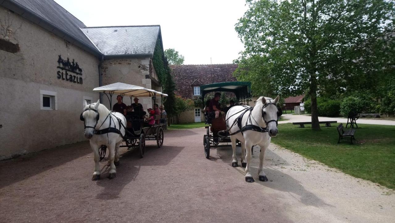 Le Village De Cottages - Le Pole Du Cheval Et De L'Ane Lignières Eksteriør bilde